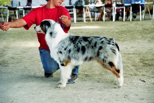 A very royal lady des Phantomes des Callas