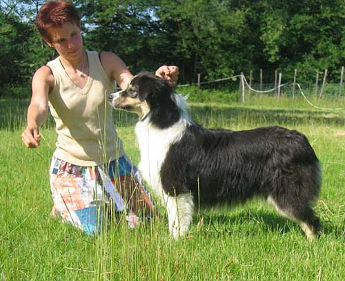 Velvet dream de Solemel