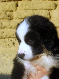 Arizona canyon de Solemel