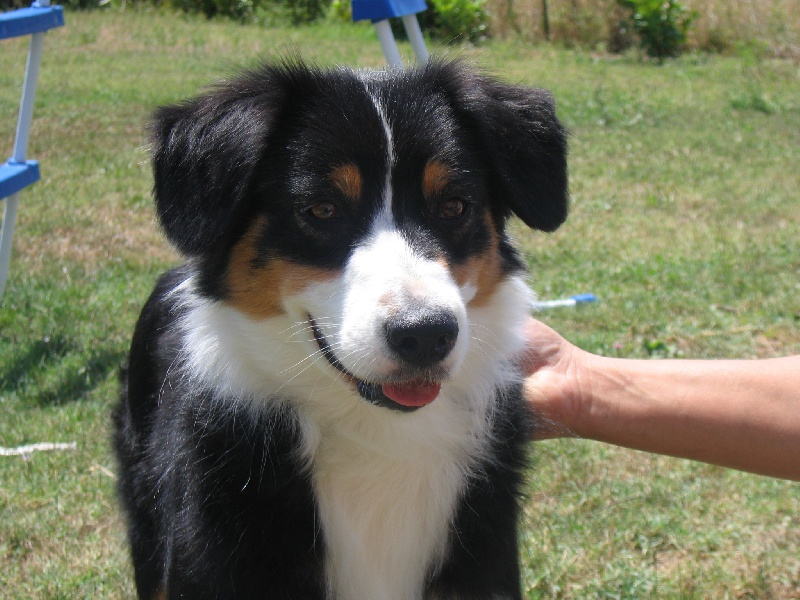 Victory dance de Solemel