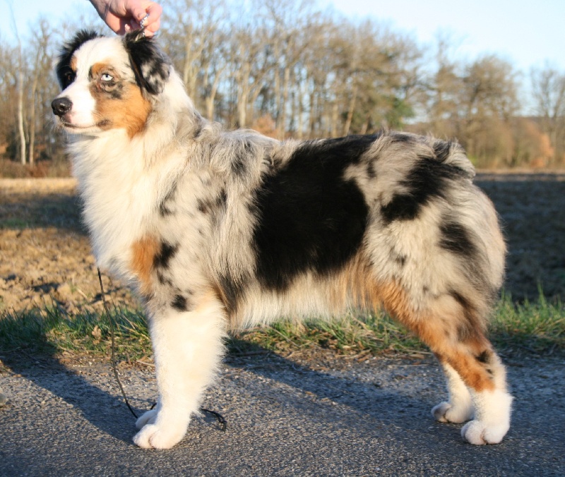 D day normandy de Solemel