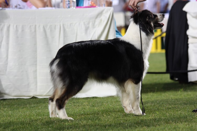 Eternity is my hope de Solemel