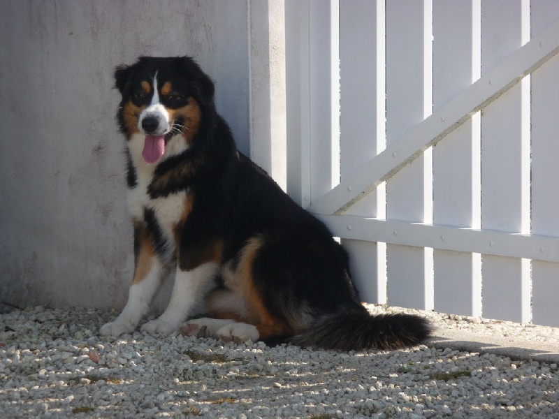 Finally my favorite mistake de Solemel