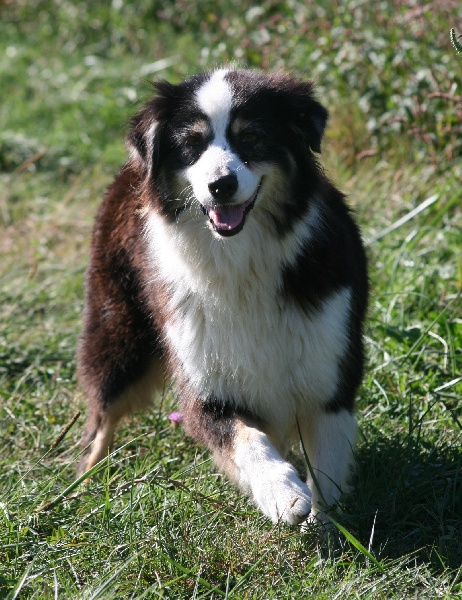 Black canyon soap creek de Solemel
