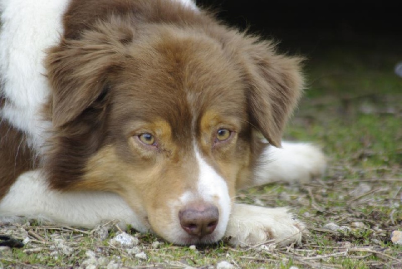 Dark knight begins (dite délicate) de Solemel